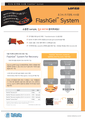 초고속 전기영동 시스템_FlashGel